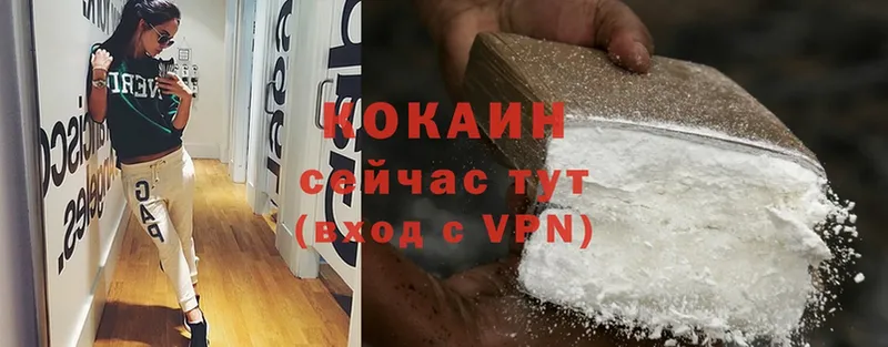 купить  сайты  MEGA вход  Cocaine Эквадор  Петропавловск-Камчатский 