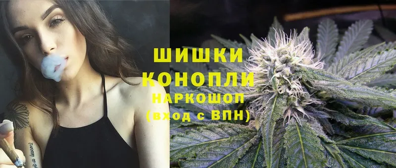 Шишки марихуана SATIVA & INDICA  как найти закладки  мега   Петропавловск-Камчатский 